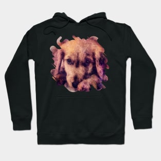 Golden Retriever Puppy Sketch Digital Art Hoodie